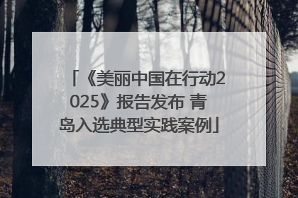 《美丽中国在行动2025》报告发布 青岛入选典型实践案例