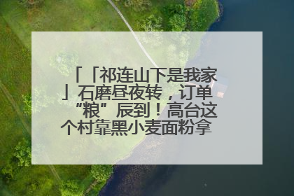 「祁连山下是我家」石磨昼夜转，订单“粮”辰到！高台这个村靠黑小麦面粉拿下成立来最大订单