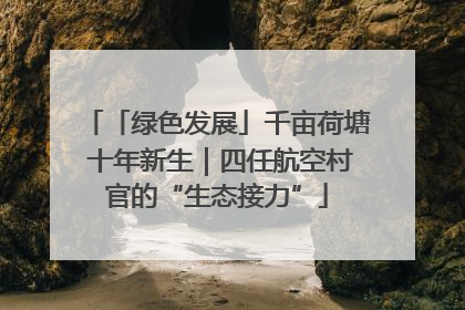 「绿色发展」千亩荷塘 十年新生｜四任航空村官的“生态接力”