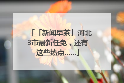 「新闻早茶」河北3市最新任免，还有这些热点……
