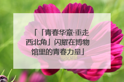 「青春华章·重走西北角」闪耀在博物馆里的青春力量