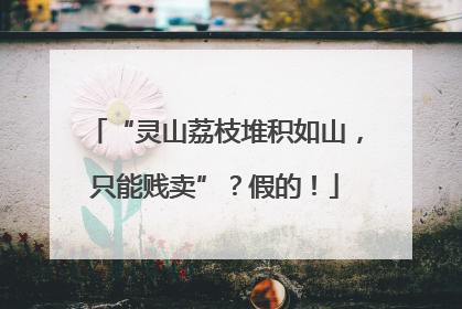 “灵山荔枝堆积如山，只能贱卖”？假的！