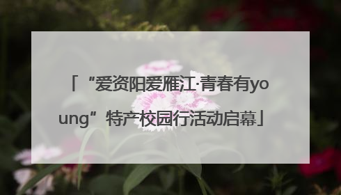 “爱资阳爱雁江·青春有young”特产校园行活动启幕