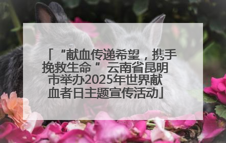 “献血传递希望，携手挽救生命 ”云南省昆明市举办2025年世界献血者日主题宣传活动