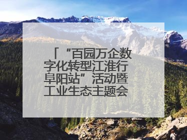 “百园万企数字化转型江淮行阜阳站”活动暨工业生态主题会议成功举办