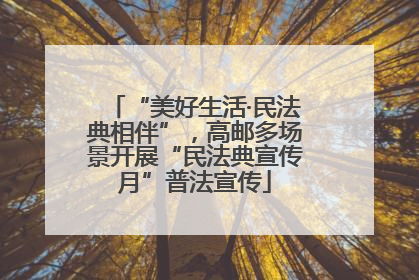 “美好生活·民法典相伴”，高邮多场景开展“民法典宣传月”普法宣传