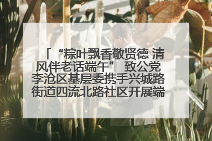 “粽叶飘香敬贤德 清风伴老话端午” 致公党李沧区基层委携手兴城路街道四流北路社区开展端午节主题活动