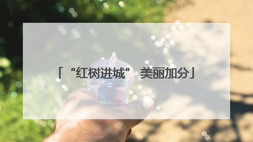 “红树进城” 美丽加分