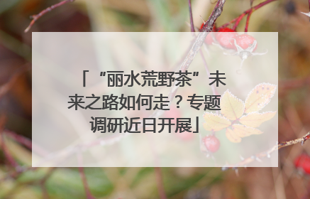 “丽水荒野茶”未来之路如何走？专题调研近日开展
