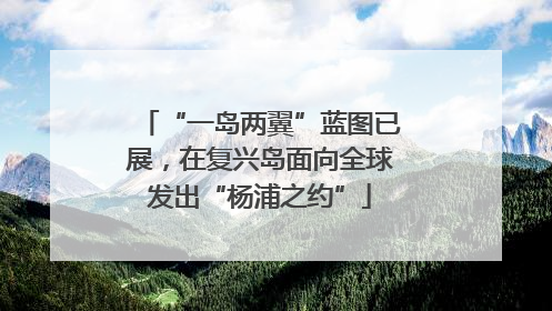 “一岛两翼”蓝图已展，在复兴岛面向全球发出“杨浦之约”