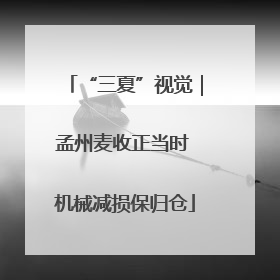 “三夏”视觉｜孟州麦收正当时 机械减损保归仓