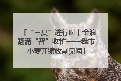 “三夏”进行时｜金浪翻涌“智”收忙——我市小麦开镰收割见闻