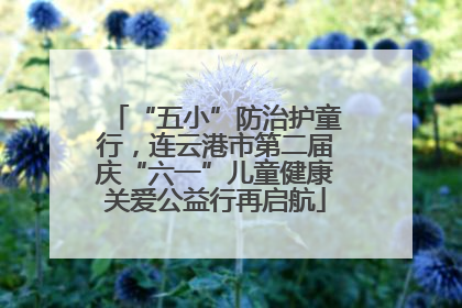 “五小”防治护童行，连云港市第二届庆“六一”儿童健康关爱公益行再启航