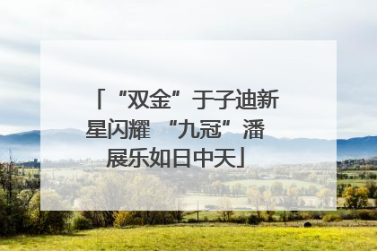 “双金”于子迪新星闪耀 “九冠”潘展乐如日中天