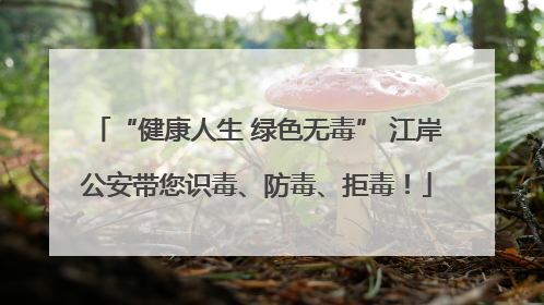 “健康人生 绿色无毒” 江岸公安带您识毒、防毒、拒毒！