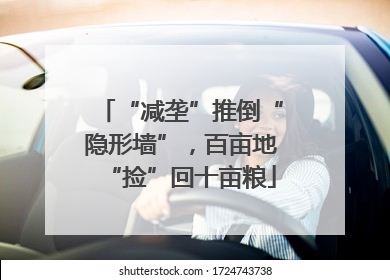 “减垄”推倒“隐形墙”，百亩地“捡”回十亩粮