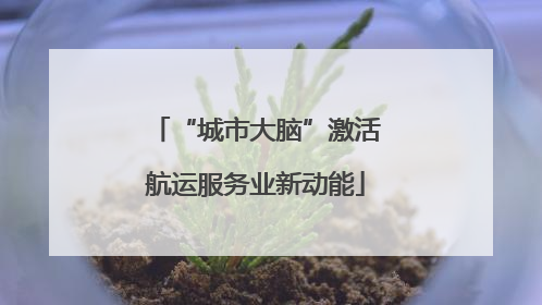 “城市大脑”激活航运服务业新动能