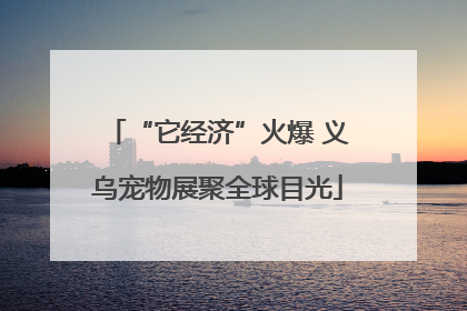 “它经济”火爆 义乌宠物展聚全球目光