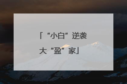“小白”逆袭大“盈”家