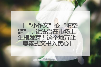 “小作文”变“填空题”，让法治在市场上生根发芽！这个地方让要素式文书入民心