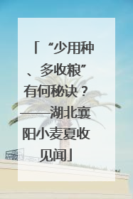 “少用种、多收粮”有何秘诀？——湖北襄阳小麦夏收见闻