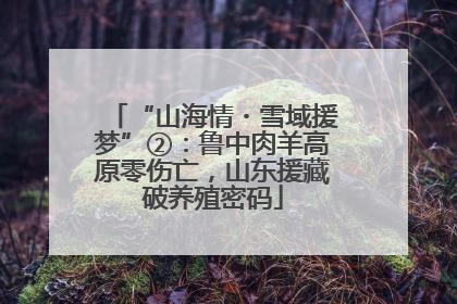 “山海情・雪域援梦”②：鲁中肉羊高原零伤亡，山东援藏破养殖密码