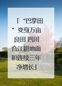 “巴掌田”变身万亩良田 四川合江耕地面积连续三年净增长