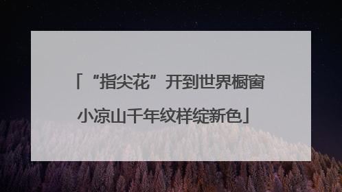 “指尖花”开到世界橱窗 小凉山千年纹样绽新色