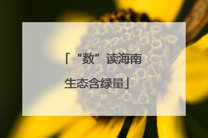 “数”读海南生态含绿量