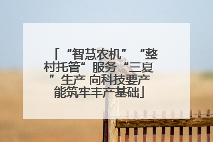 “智慧农机”“整村托管”服务“三夏”生产 向科技要产能筑牢丰产基础