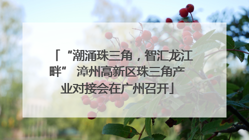 “潮涌珠三角，智汇龙江畔” 漳州高新区珠三角产业对接会在广州召开