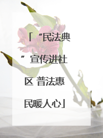 “民法典”宣传进社区 普法惠民暖人心