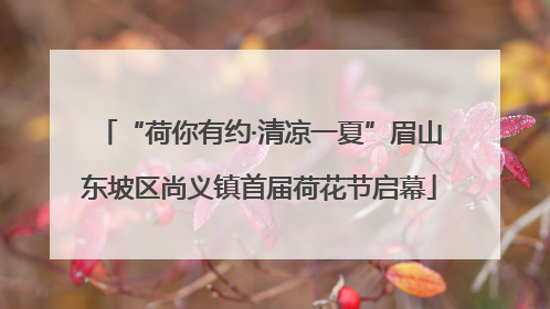 “荷你有约·清凉一夏”眉山东坡区尚义镇首届荷花节启幕