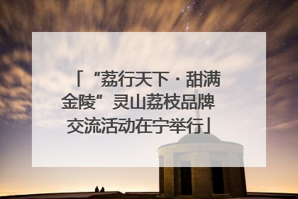 “荔行天下・甜满金陵”灵山荔枝品牌交流活动在宁举行