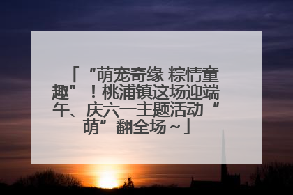 “萌宠奇缘 粽情童趣”！桃浦镇这场迎端午、庆六一主题活动“萌”翻全场～