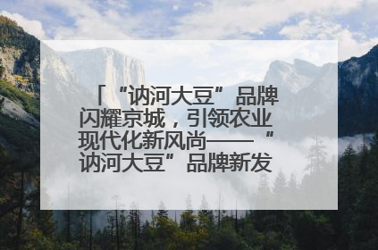 “讷河大豆”品牌闪耀京城，引领农业现代化新风尚——“讷河大豆”品牌新发地推介会圆满落幕