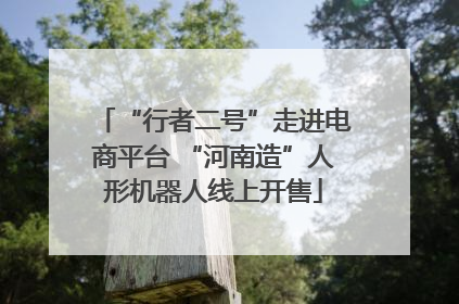 “行者二号”走进电商平台 “河南造”人形机器人线上开售