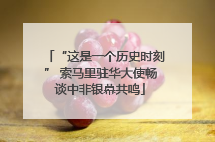 “这是一个历史时刻” 索马里驻华大使畅谈中非银幕共鸣