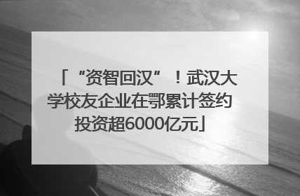 “资智回汉”！武汉大学校友企业在鄂累计签约投资超6000亿元
