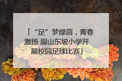 “足”梦绿茵，青春激扬 眉山东坡小学开展校园足球比赛