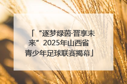 “逐梦绿茵·晋享未来”2025年山西省青少年足球联赛揭幕