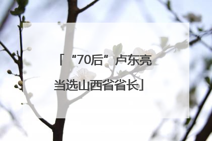 “70后”卢东亮当选山西省省长