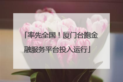 率先全国！厦门台胞金融服务平台投入运行