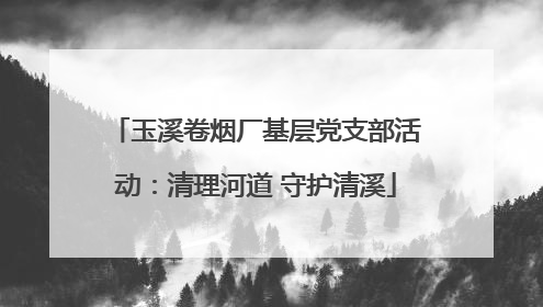 玉溪卷烟厂基层党支部活动：清理河道 守护清溪