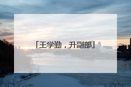 王学勤，升副部