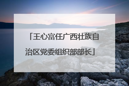 王心富任广西壮族自治区党委组织部部长