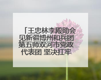 王忠林李殿勋会见新疆博州和兵团第五师双河市党政代表团 坚决扛牢对口援疆重大政治责任 推动双方实现优势互补务实合作