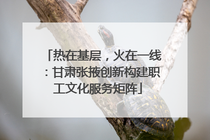 热在基层，火在一线：甘肃张掖创新构建职工文化服务矩阵
