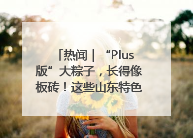 热闻｜“Plus版”大粽子，长得像板砖！这些山东特色粽子你吃过吗？