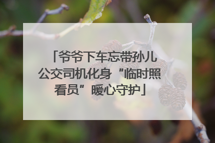 爷爷下车忘带孙儿 公交司机化身“临时照看员”暖心守护